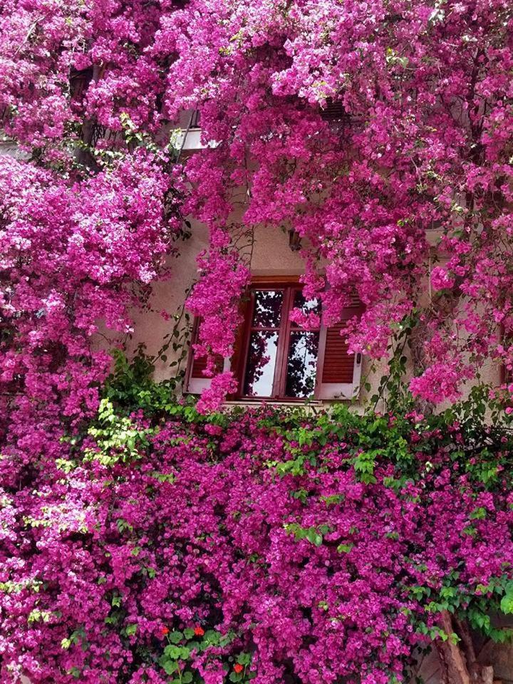 Iliolithos Rooms كارداميلي المظهر الخارجي الصورة